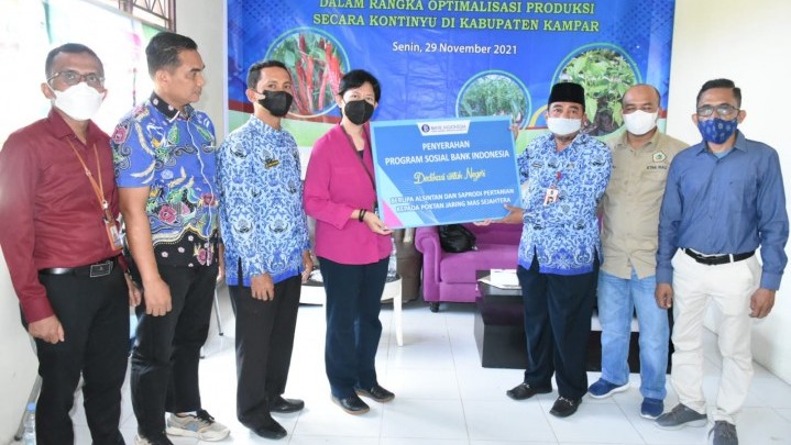 Bank Indonesia Wilayah Riau Gandeng Poktan Jaring Mas Sejahtera Latih Petani Cabai Kampar Bank Indonesia Wilayah Riau Gandeng Poktan Jaring Mas Sejahtera Latih Petani Cabai Kampar