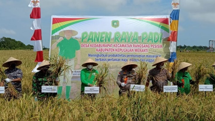 Panen Raya di Desa Kedabu Meranti, Diharap jadi Contoh Bagi Gapoktan Lain