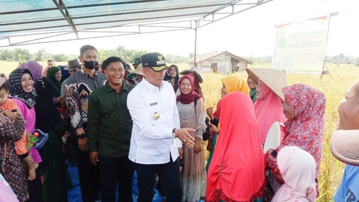 Bupati Adil Dorong Petani Panen Dua Kali Setahun Bupati Adil Dorong Petani Panen Dua Kali Setahun