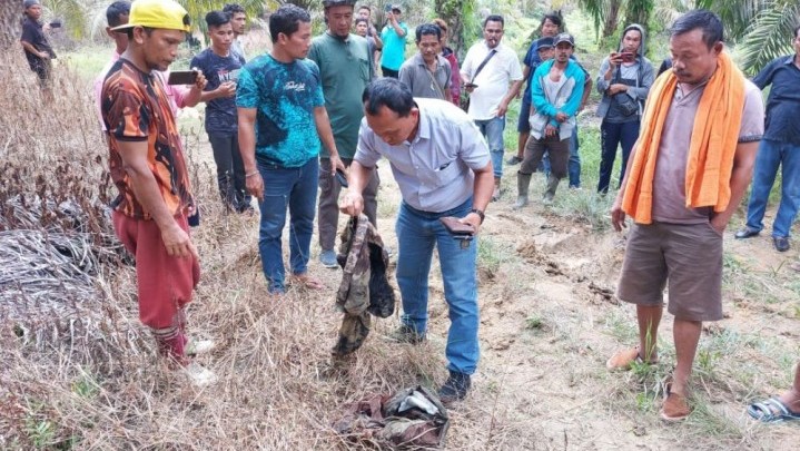 Diserang Gajah Liar, Warga Minas Meninggal Dunia Diserang Gajah Liar, Warga Minas Meninggal Dunia