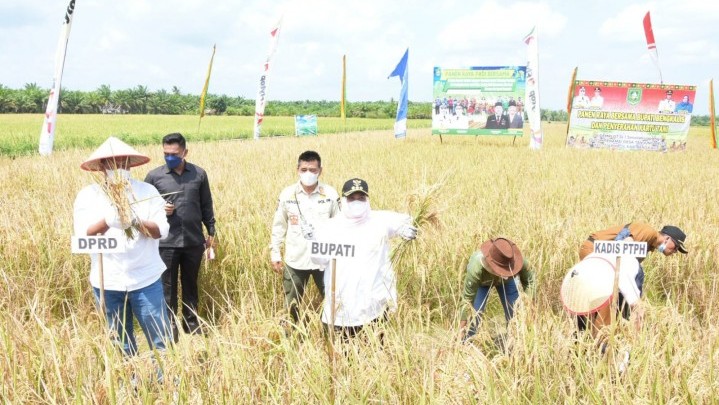 Pertanian Tanjung Belit Dapat Apresiasi Khusus Bupati Kasmarni