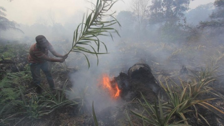 Karhutla di Riau Meluas, Kepala BPBD Dorong Status Siaga Karhutla di Riau Meluas, Kepala BPBD Dorong Status Siaga