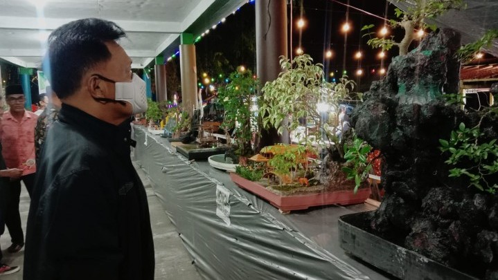 Pameran Bonsai, Wabup Meranti: Semangat Lestarikan Hobi yang Positif Pameran Bonsai, Wabup Meranti: Semangat Lestarikan Hobi yang Positif