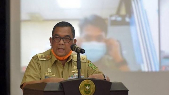 Karhutla di Riau Capai 91,46 Hektar, Status Siaga Diminta Cepat Ditetapkan