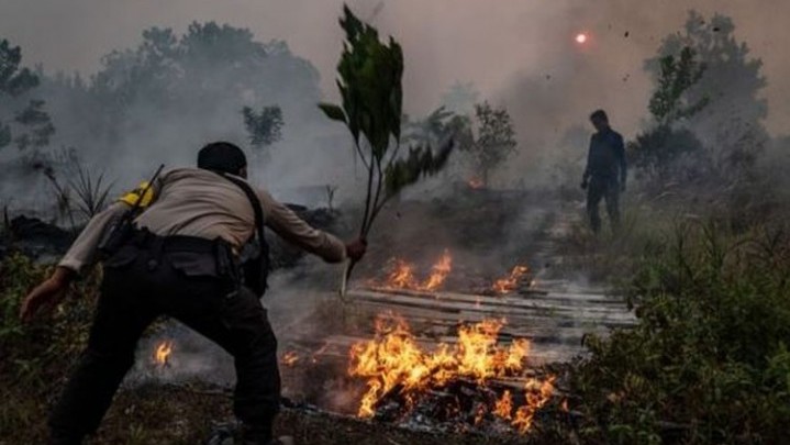 Pemprov Riau Belum Tetapkan Siaga Karhutla Pemprov Riau Belum Tetapkan Siaga Karhutla
