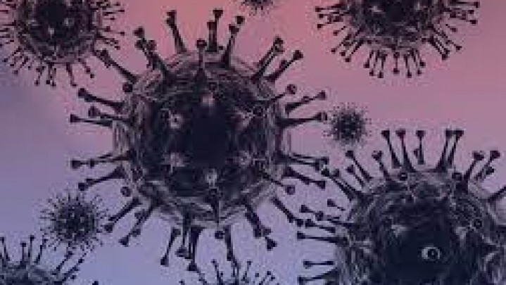 Pasien Sembuh Covid-19 di Riau Bertambah 326 Orang