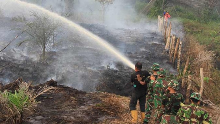 Pemkab Meranti Tetapkan Status Siaga Karhutla