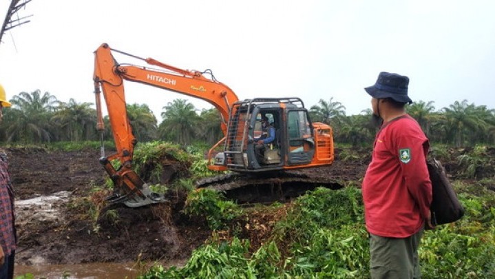 Ternyata Hanya Rp 850 Miliar Anggaran Replanting untuk Riau Selama Lima Tahun Ternyata Hanya Rp 850 Miliar Anggaran Replanting untuk Riau Selama Lima Tahun