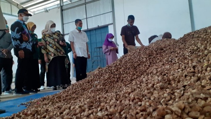 Pekan Ini Harga Pinang di Riau Turun