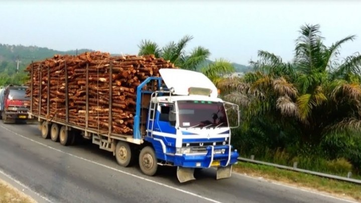 Setelah Rohil dan Kampar, Penindakan ODOL akan Berlanjut di Kuansing Setelah Rohil dan Kampar, Penindakan ODOL akan Berlanjut di Kuansing