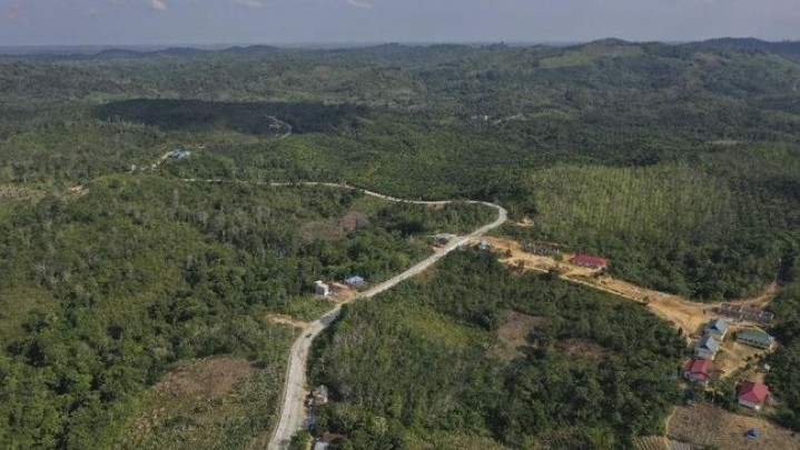 Wakil Ketua MUI Dukung Ibu Kota Negara Di Kalimantan Wakil Ketua MUI Dukung Ibu Kota Negara Di Kalimantan