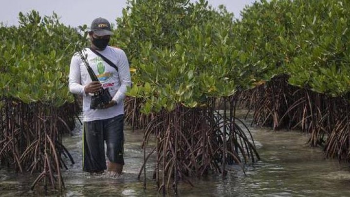 Program Riau Hijau Harusnya Juga Dilaksanakan Pemerintah Kabupaten Kota