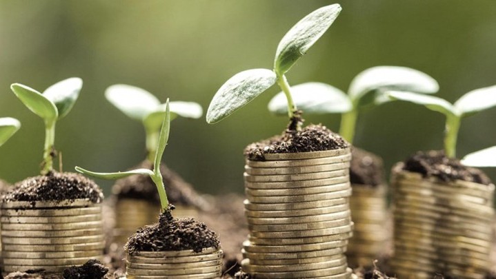 Ada Potensi Besar, BWI Didorong Maksimalkan Wakaf di Riau