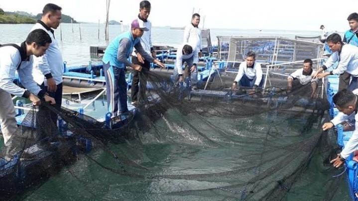 Kampung Keter Tengah Kepri Ditetapkan Sebagai Kampung Perikanan Budidaya