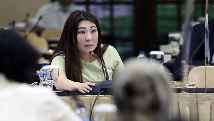 Dipecat PSI dan Kalah di PN Jakarta Pusat, Viani Ajukan Banding Dipecat PSI dan Kalah di PN Jakarta Pusat, Viani Ajukan Banding