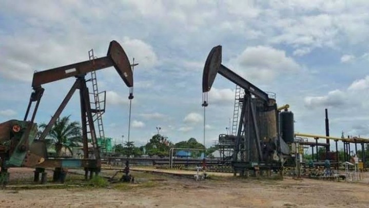 Upaya Dapatkan PI 10 Persen Industri Migas, Pemprov Riau Akui Banyak Kendala Upaya Dapatkan PI 10 Persen Industri Migas, Pemprov Riau Akui Banyak Kendala