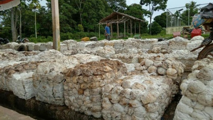 Di Kampar Harga Karet Tetap, Kuansing Turun