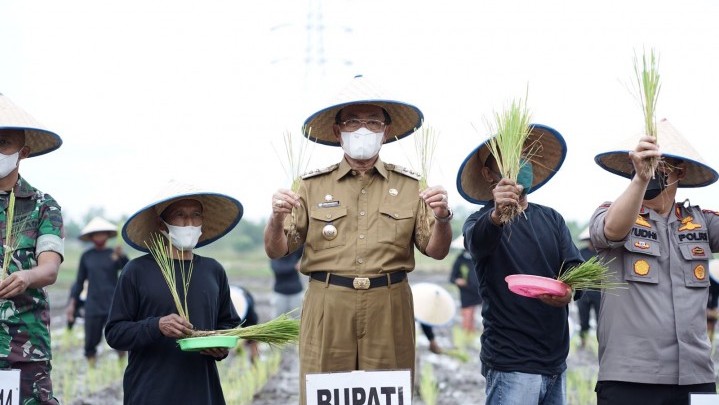 Program Ketahanan Pangan 1000 Hektar Korem 031/WB, Pemkab Inhil Sediakan Lahan 31 Hektar Program Ketahanan Pangan 1000 Hektar Korem 031/WB, Pemkab Inhil Sediakan Lahan 31 Hektar