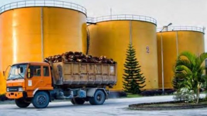 DPR Minta Jokowi Konsisten Larang Ekspor Minyak Goreng dan CPO DPR Minta Jokowi Konsisten Larang Ekspor Minyak Goreng dan CPO