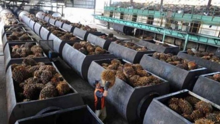 Menurut Penjelasan Gubri Syamsuar Tidak Ada Pelarangan Ekspor CPO Menurut Penjelasan Gubri Syamsuar Tidak Ada Pelarangan Ekspor CPO