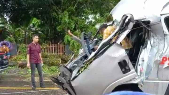 Minibus di Pasaman Barat Tertimpa Pohon Tumbang, Satu Korban Meninggal Dunia Minibus di Pasaman Barat Tertimpa Pohon Tumbang, Satu Korban Meninggal Dunia