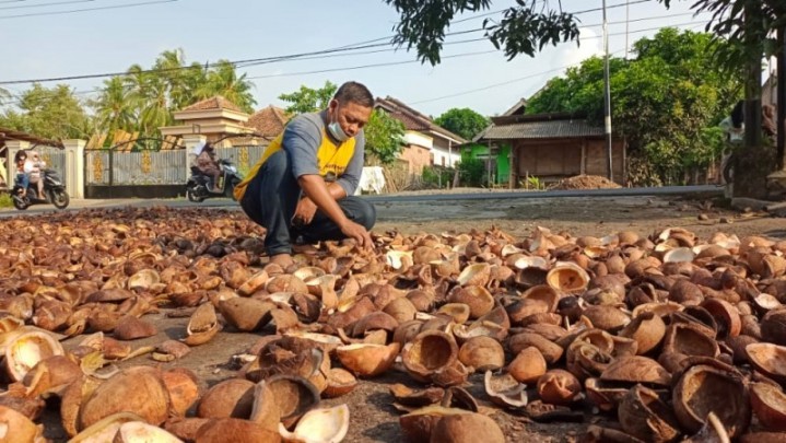 Harga Kopra di Meranti dan Inhil Naik