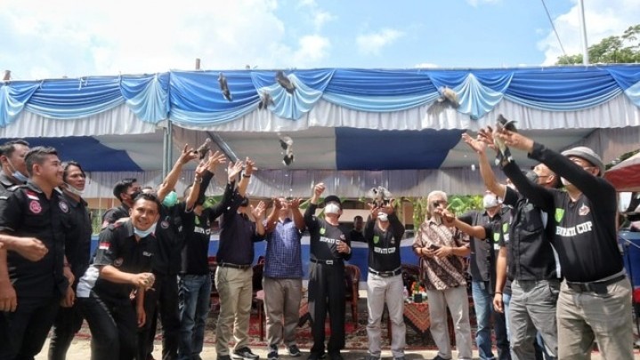 Inhil Gelar Festival Burung Berkicau se Sumatera Inhil Gelar Festival Burung Berkicau se Sumatera