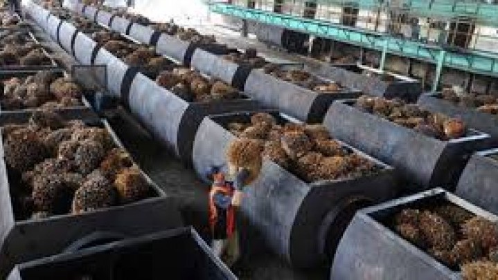 Mendag Bicara Kemungkinan Relaksasi Ekspor CPO