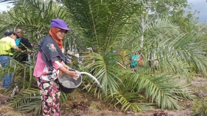 Apindo Minta Pemprov Riau Cari Solusi Harga Pupuk Mahal