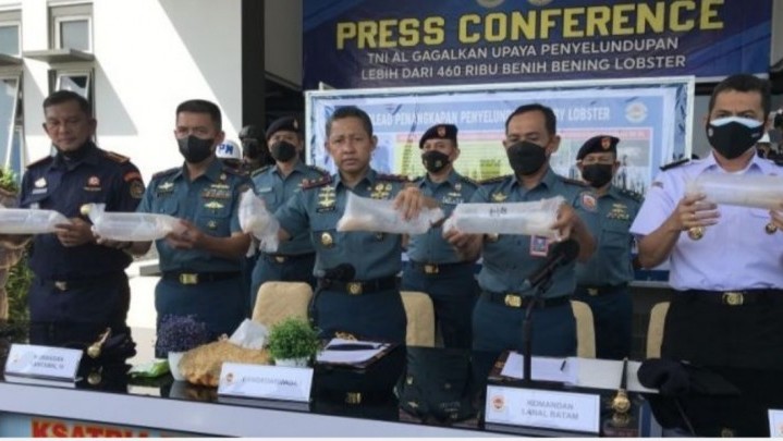 Penyelundupan Benih Lobster Bernilai Rp 46 Miliar Berhasil Digagalkan Penyelundupan Benih Lobster Bernilai Rp 46 Miliar Berhasil Digagalkan