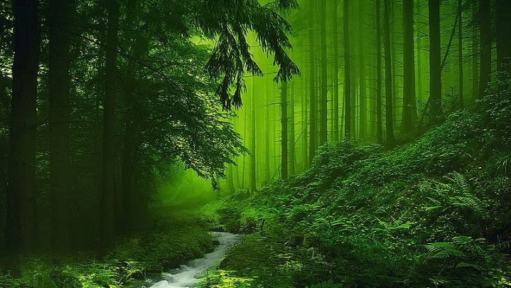 Secuil Tentang Manusia Secuil Tentang Manusia