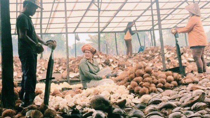 Harga Jual Kelapa di Riau Sepekan ke Depan Turun