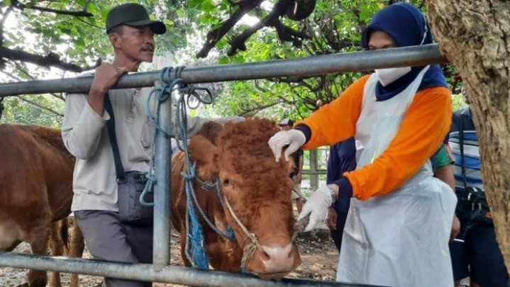 Keputusan PBNU: Hewan Terjangkit PMK Tidak Memenuhi Syarat Kurban Keputusan PBNU: Hewan Terjangkit PMK Tidak Memenuhi Syarat Kurban