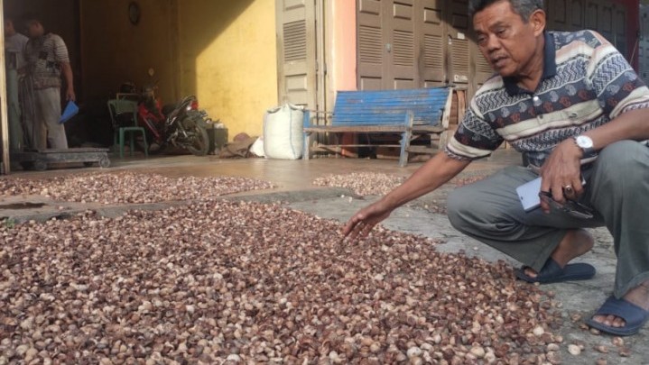Harga Pinang di Riau Turun Menjadi Rp 11.419 per Kilogram