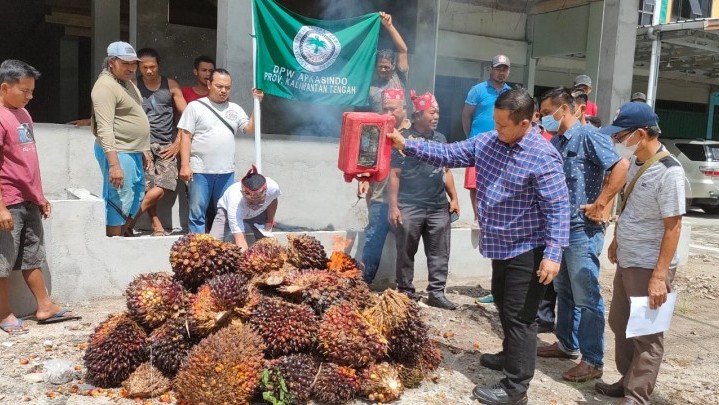 Harga Anjlok, Petani Gelar Aksi Bakar Buah Sawit