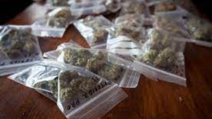 Kantongi Ganja Kering Siap Edar, Pemuda Sungai Tarab Ditangkap Polisi Kantongi Ganja Kering Siap Edar, Pemuda Sungai Tarab Ditangkap Polisi