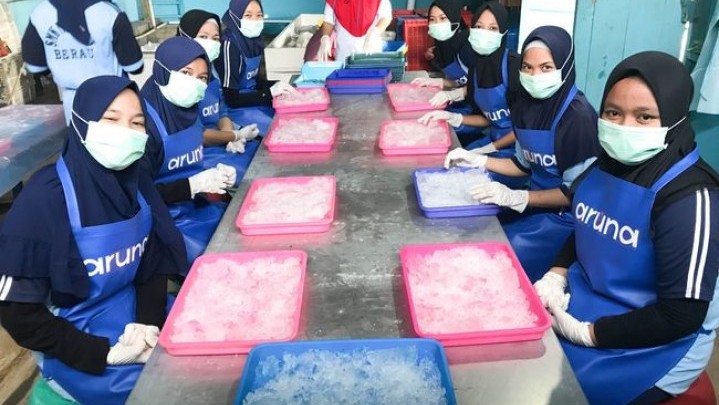 Modal Awal Rp 10 Juta, Startup RI Aruna Sekarang Kantongi Rp 950,4 Miliar Modal Awal Rp 10 Juta, Startup RI Aruna Sekarang Kantongi Rp 950,4 Miliar