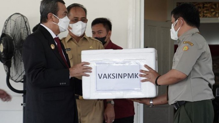 Ribuan Vaksin PMK pada Ternak Mulai Didistribusikan ke Kabupaten Kota di Riau