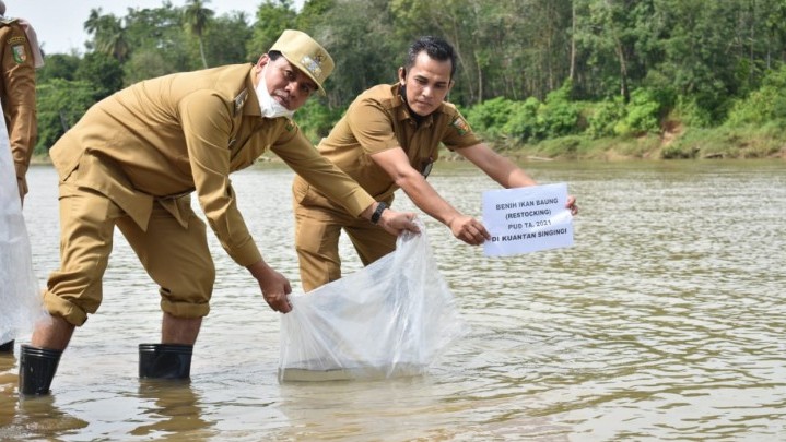 Ribuan Benih Ikan Tawar Ditebar di Desa Perhentian Sungkai Kuansing untuk Menjaga Ekosistem Ribuan Benih Ikan Tawar Ditebar di Desa Perhentian Sungkai Kuansing untuk Menjaga Ekosistem