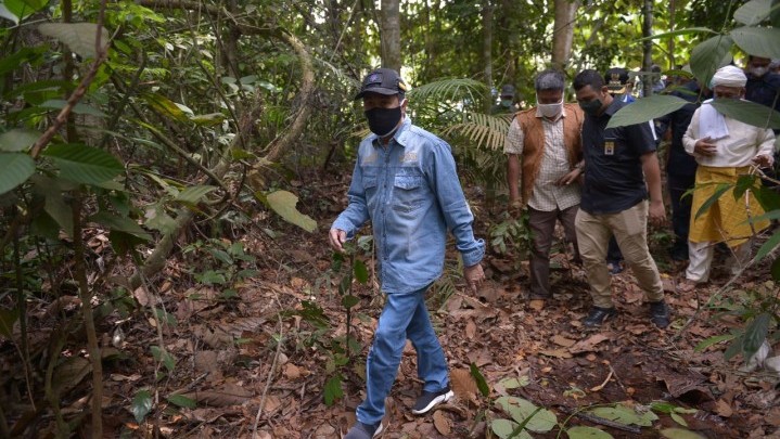 Otak Pelaku Perambahan Hutan TNBT Kata Gubri Syamsuar Harus Ditindak Otak Pelaku Perambahan Hutan TNBT Kata Gubri Syamsuar Harus Ditindak
