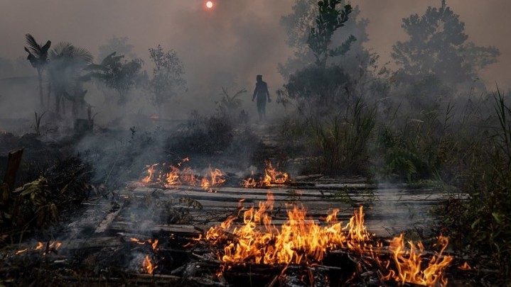Tahun Ini Sudah 651 Hektar Lahan di Riau Terbakar