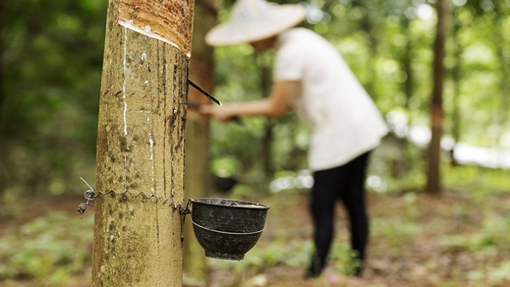 Kenaikan Harga Makanan hingga Tembakau Pengaruhi Turunnya NTP Riau Kenaikan Harga Makanan hingga Tembakau Pengaruhi Turunnya NTP Riau
