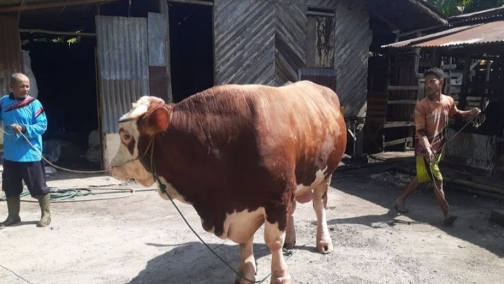 SE Salat Idul Adha dan Pelaksanaan Kurban Dijelaskan Kemenag Riau