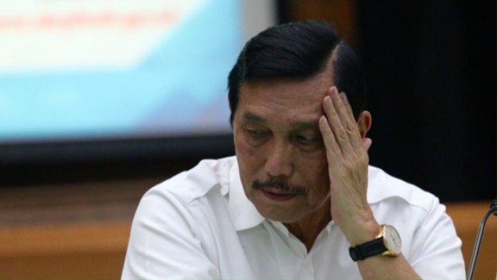 Harga Sawit Anjlok Luhut Salahkan Ukraina, Politisi PDI P: Itu Namanya Buang Badan