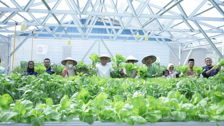 Masyarakat Rohul Diminta Kembangkan Pertanian Hidroponik Masyarakat Rohul Diminta Kembangkan Pertanian Hidroponik