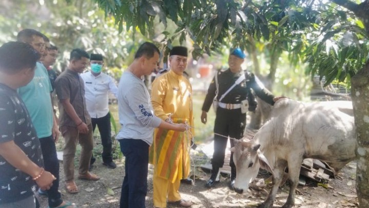 Masyarakat Pesisir Rokan Hilir Dapat Bantuan Sapi Kurban