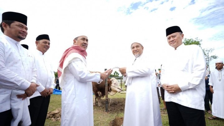 Ini Alasan Sapi Sapi Kurban Bantuan Presiden Diberikan pada Ponpes Babussalam Pekanbaru Ini Alasan Sapi Sapi Kurban Bantuan Presiden Diberikan pada Ponpes Babussalam Pekanbaru
