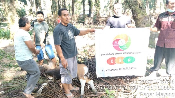 PT MAN Desa Bangun Jaya Rohul Salurkan Sapi Kurban di Daerah Operasional Perusahaan PT MAN Desa Bangun Jaya Rohul Salurkan Sapi Kurban di Daerah Operasional Perusahaan