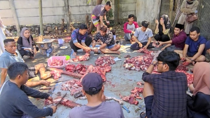 Hipemari dan IPMKJ Qurban 1 Sapi dan 1 Kambing