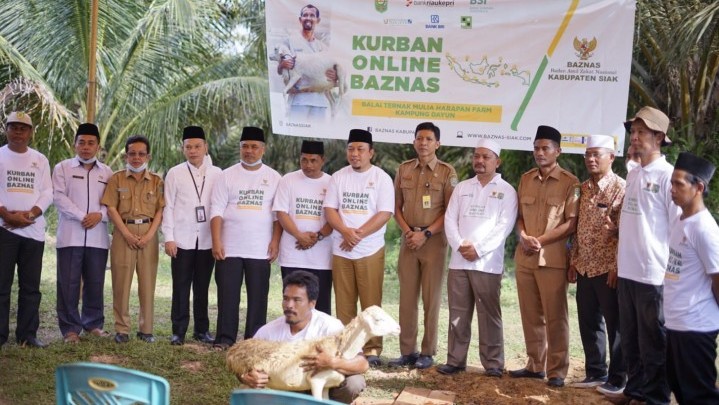 Baznas Siak Kembali Kurban Online 101 Ekor Hewan Ternak Baznas Siak Kembali Kurban Online 101 Ekor Hewan Ternak